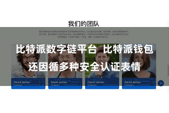 比特派数字链平台 比特派钱包还因循多种安全认证表情