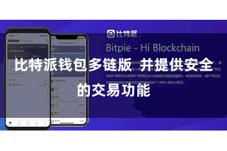 比特派钱包多链版 并提供安全的交易功能