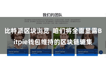 比特派区块浏览  咱们将全面显露Bitpie钱包维持的区块链辘集