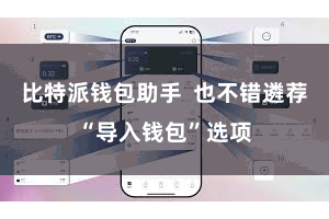 比特派钱包助手  也不错遴荐“导入钱包”选项