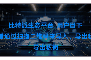 比特派生态平台  用户目下不错通过扫描二维码来导入、导出私钥