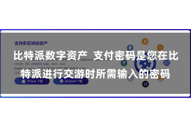 比特派数字资产  支付密码是您在比特派进行交游时所需输入的密码