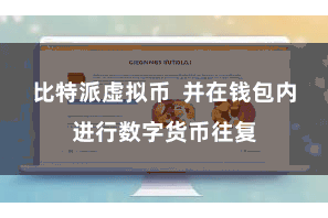 比特派虚拟币  并在钱包内进行数字货币往复