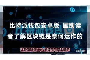 比特派钱包安卓版  匡助读者了解区块链是奈何运作的