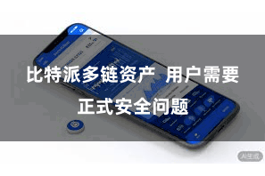 比特派多链资产  用户需要正式安全问题