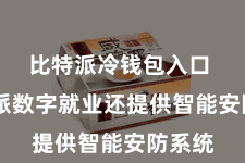 比特派冷钱包入口  比特派数字就业还提供智能安防系统
