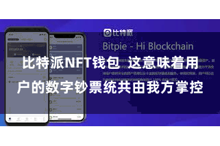 比特派NFT钱包  这意味着用户的数字钞票统共由我方掌控